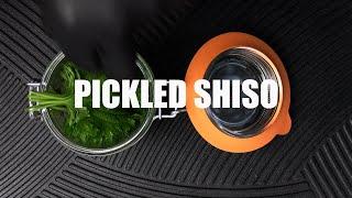 PICKLED SHISO LEAF WITH UMEZU