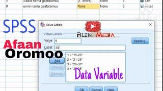 SPSS Afan Oromo for Bigginer