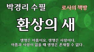 [박경리 수필/환상(幻想)의 새/ 생명은 ‘시행(試行)아닌 진실 자체]생명은 아픔이요. 생명은 사랑이다/로사의 책방