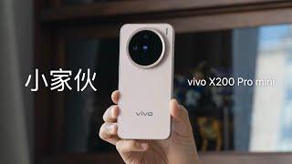 vivo X200 Pro mini Review: Why do I like small phones?