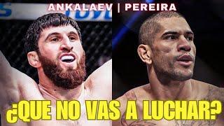 ALEX PEREIRA VS ANKALAEV: si no hay pelea me pongo bravo