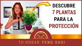  7 PLANTAS PROTECTORAS  para el HOGAR Según el FENG SHUI㊗️