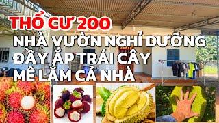 NỢ DÍ NGẬP ĐẦU ANH CƯỜNG BÁN NHÀ VƯỜN ĐẦY ẮP TRÁI CÂY Ở CẨM MỸ ĐỒNG NAI