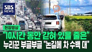 내비게이션의 배신? "10시간 동안 3km 이동" 추석 연휴에 우회도로 갔다가 벌어진 일 (현장영상) / SBS