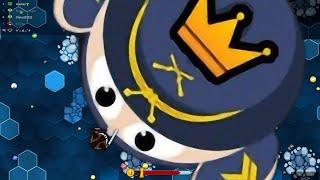 EvoWars.io Ultimate Pro Skill Tiny Beast EvoWars io Funny Gameplay!