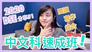 【DSE速成班#1】省時自習中文科｜CherryVDO