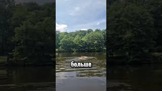 Друзья! Настоящие  качества  проявляются в  действиях.”Инвестируйте -ПУТЬ к результату - ВАШ ДОХОД!"