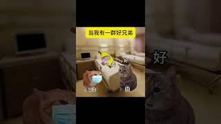 #猫meme小剧场 #猫meme #猫meme搞笑剧情 #猫meme剧场