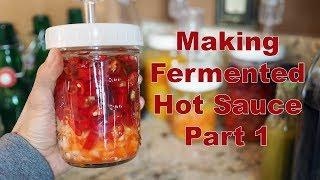 How to Make Fermented Hot Sauce  Part 1