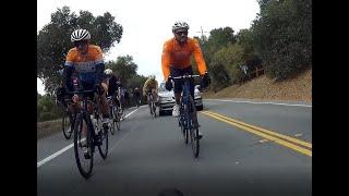 TNR - car nearly drives into the group