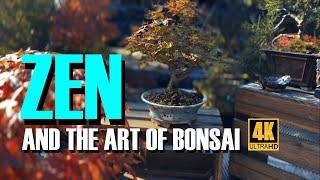 Zen and the Art of Bonsai