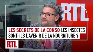 Olivier Dauvers : Les insectes sont-ils l'avenir de la nourriture ?