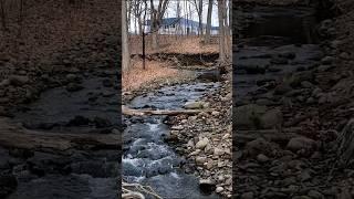 East Side Trail by Lake Quinsigamond Worcester Massachusetts #Worcester #Worcesterma #Massachusetts