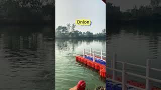 Fan Dian public diving platform