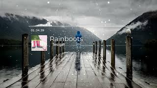 Rainboots - Tesigar (No Copyright Relaxing Music)