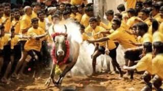 latest news 22/1/17