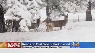 Snow Shuts Down Half Of Rocky Mountain National Park