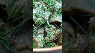 Баклажаны КАК ГРИБЫ