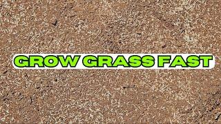 How To Prepare Bare Dirt For Grass Seed