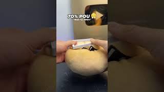 Will pou fit? 