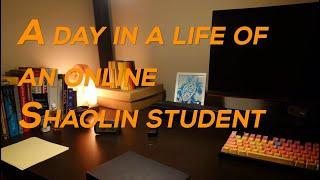 A Day in a Life of an Online Shaolin Student [Part 1/2]