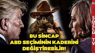 Dünya Bunu Konuşuyor! Bu Sincap ABD Seçimlerinin Kaderini Değiştirebilir