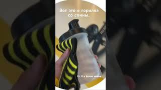 Ну реально я гориллыч