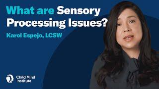 What Are Sensory Processing Issues?