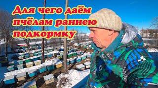 ПОДКОРМКА МЕДОВОЙ СЫТОЙ РАННЕЙ ВЕСНОЙ ПАКЕТАМИ., СТИМУЛЯЦИЯ МАТКИ.