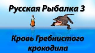 Русская Рыбалка 3.99. Ловим кровь крокодилов. В конце розыгрыш.
