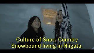 Culture of Snow Country｜From Niigata：Jomon to Today Cultural Experience