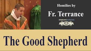 The Good Shepherd - Jul 22 - Homily - Fr Terrance (2018)