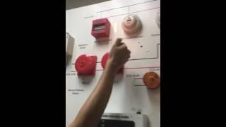 Asenware smoke detector test video