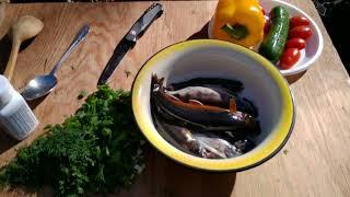 Ear from Trout Malma. Fishing on a mountain river in the wilds of the Primorsky Ussuri taiga.