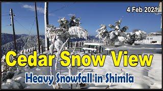 Latest Snowfall in Shimla, Kufri, Chail Cedar Snow View,