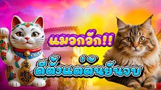 สล็อตเว็บตรง สล็อต เว็บตรง สล็อตแตกง่าย สล็อตวอเลท slot pg แมวกวัก!!ดีตั้งแต่ต้นยันจบ