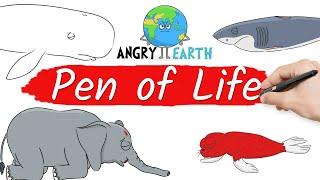 ANGRY EARTH - The Pen of Life