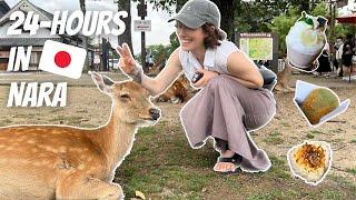 1 Day Nara Japan 2023 Itinerary !~ 