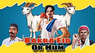 Bakra Eid Or Hum |FUNNY VIDEO| @ubed_sk