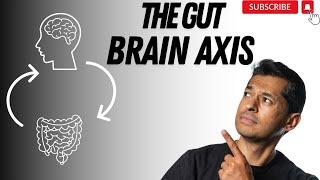 The surprising link between your gut and brain !