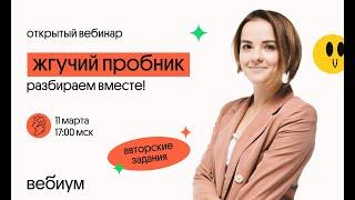 Разбор жгучего пробника | Русский язык ЕГЭ | Вебиум