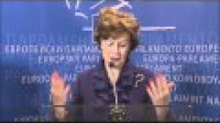 Neelie Kroes Not Sure if She Passed EU Confirmation Hearing