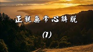 雜阿含1經(1版)5-1.傾萬鈞之力一點突破[德藏法師](有字幕)