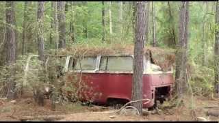 1971 Micro-Bus and Three Beetles - BARN FIND - FOUND IN THE WOODS OF SC