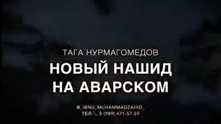 Новый нашид Тага Нурмагомедов 2019
