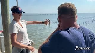 Simply Southern: Discover Alabama Extension_Oyster Farming