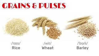 GRAINS and PULSES  in English - VOCABULARY