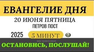 20 июня пятница Евангелие дня 2025 с толкованием #евангелие