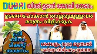 Dubai job vacancy 2024 Malayalam| UAE job vacancy| Gulf job vacancy Malayalam | Today job vacancy