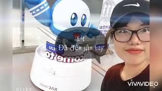 제주도 여행